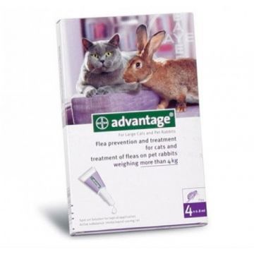 Advantage Pisica/Iepure 80 Peste 4 Kg 1 Pipeta