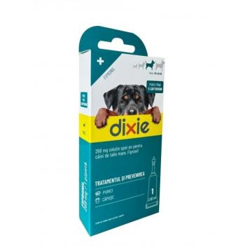 Antiparazitar extern pentru caini intre 20-40 kg Dixie Spot On L, 1 pipeta
