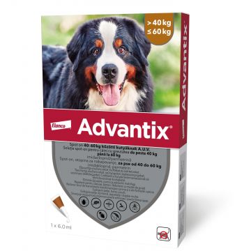 Advantix 600 Caini (40 - 60 kg), 1 pipeta