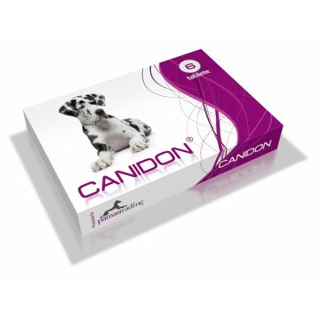 Antiparazitar intern pentru caini Canidon, 6 comprimate