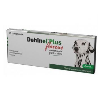 Dehinel Plus Flavour, 10 comprimate